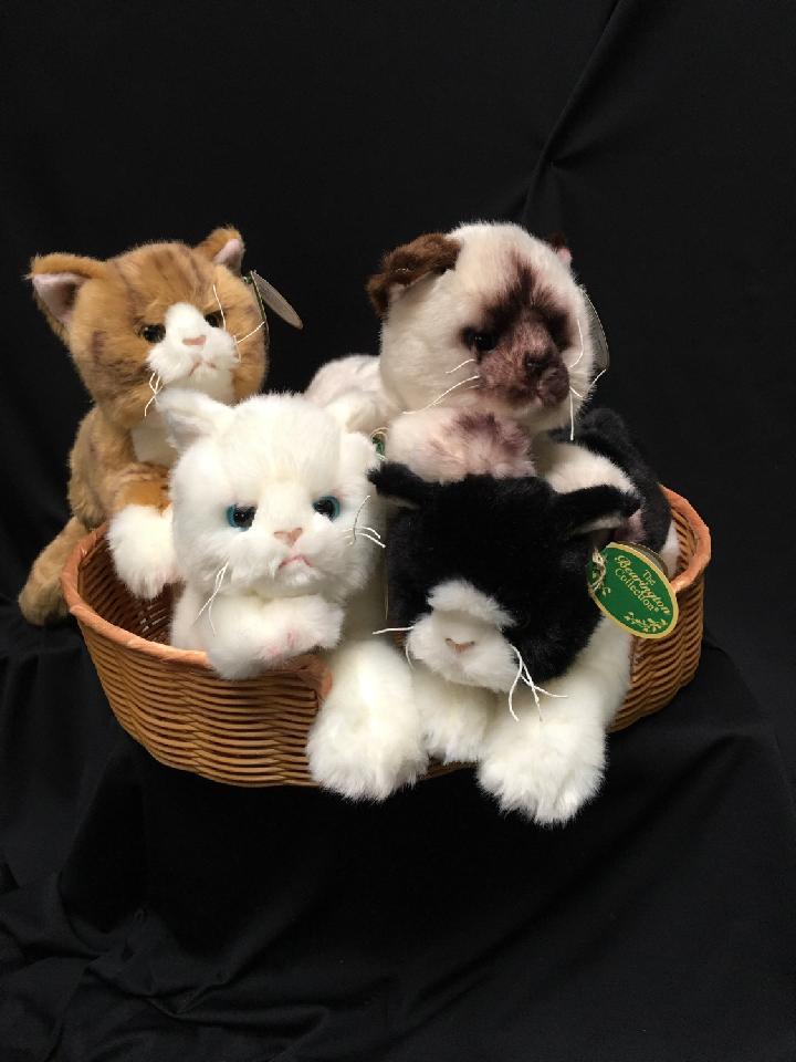 Bearington CATS